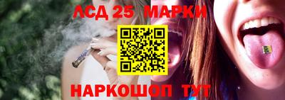 молекула духа Гатчина