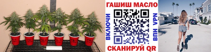 MEGA зеркало  Копейск  Дистиллят ТГК Wax 