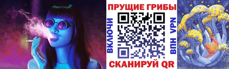 Галлюциногенные грибы Psilocybine cubensis  Копейск 